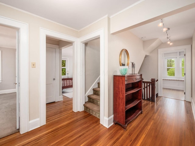 1635 Cambridge Blvd, Upper Arlington, OH 43212 - stairs featuring wood finished floors, baseboards, and ornamental molding