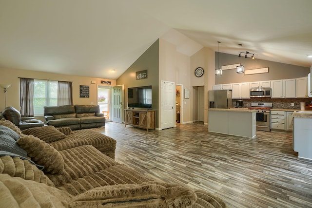 9805 Beaver Pike, Jackson, OH 45640 - living area featuring high vaulted ceiling and dark wood-type flooring