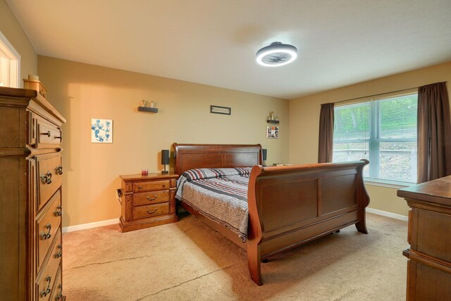 9805 Beaver Pike, Jackson, OH 45640 - bedroom featuring light colored carpet and baseboards
