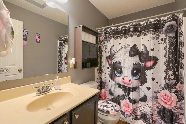 9805 Beaver Pike, Jackson, OH 45640 - full bath featuring vanity, toilet, and curtained shower