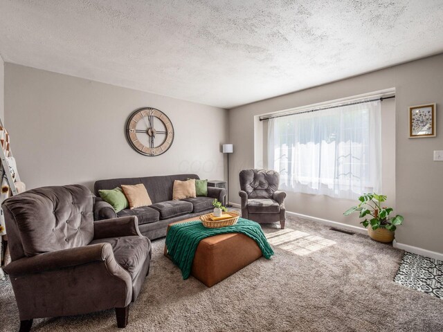 1887 Lonsdale Rd, Columbus, OH 43232 - living area with a textured ceiling and carpet flooring