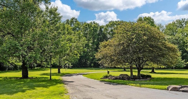 7276 Lee Rd, Westerville, OH 43081 - surrounding community with a yard