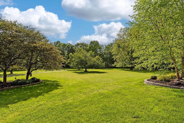 7276 Lee Rd, Westerville, OH 43081 - view of grassy yard