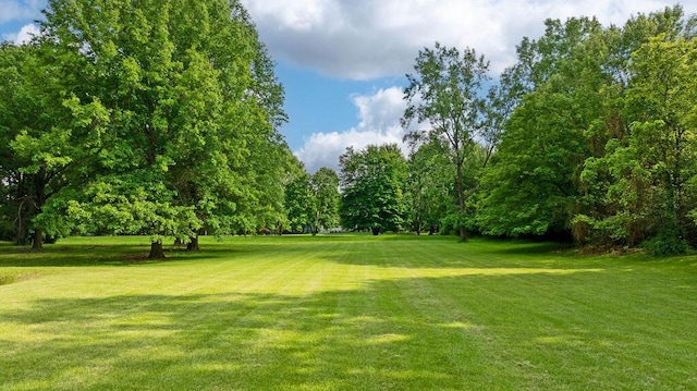 7276 Lee Rd, Westerville, OH 43081 - surrounding community featuring a lawn and view of wooded area