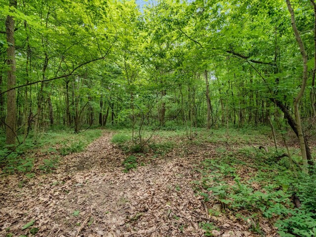4015 County Road 25, Cardington, OH 43315 - view of woods