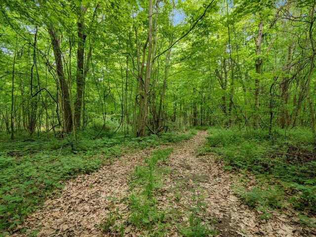4015 County Road 25, Cardington, OH 43315 - view of wooded area