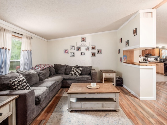 4015 County Road 25, Cardington, OH 43315 - living room with light wood finished floors, crown molding, a textured ceiling, and baseboards