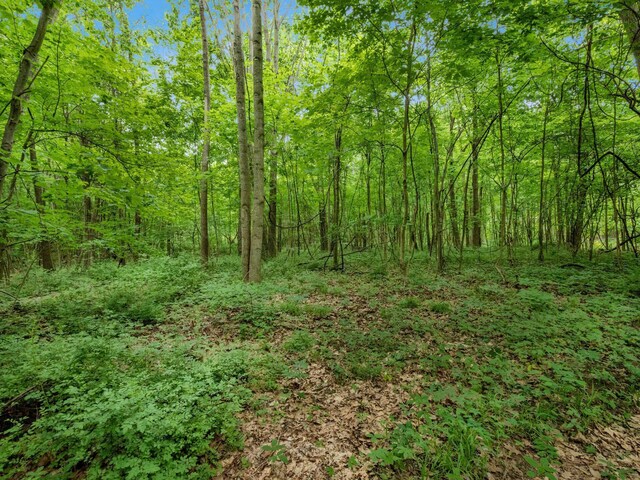 4015 County Road 25, Cardington, OH 43315 - view of wooded area