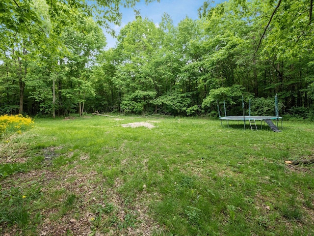 4015 County Road 25, Cardington, OH 43315 - view of green lawn featuring a trampoline and a wooded view