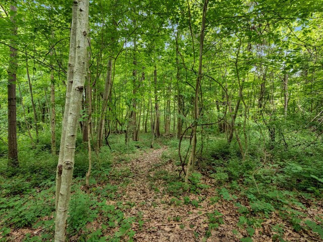 4015 County Road 25, Cardington, OH 43315 - view of tree filled area