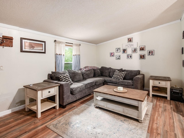 4015 County Road 25, Cardington, OH 43315 - living room featuring ornamental molding, wood finished floors, a textured ceiling, and baseboards