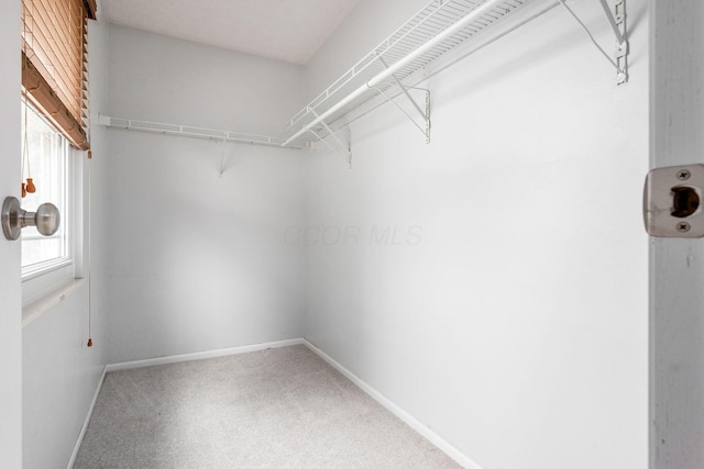 1693 Hale Ct, Columbus, OH 43228 - walk in closet with carpet floors
