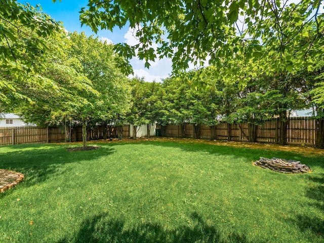 193 W Pearl St, West Jefferson, OH 43162 - view of yard
