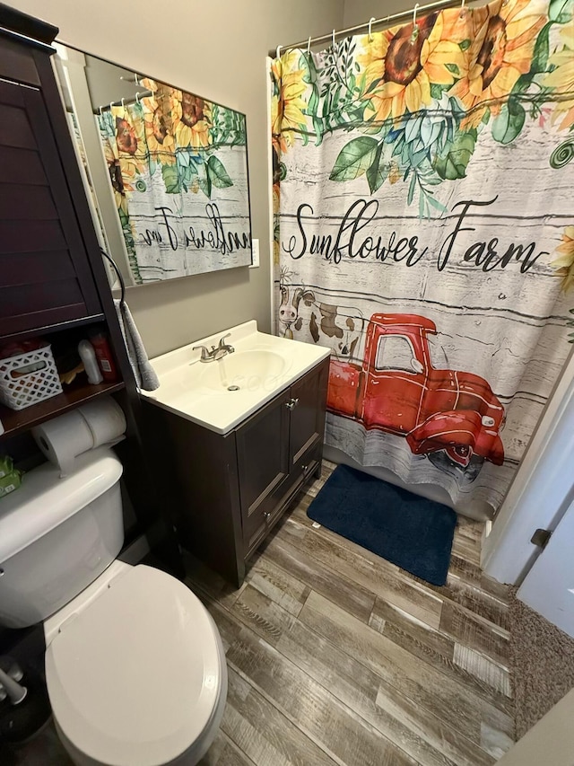 205 Walnut St, Circleville, OH 43113 - bathroom featuring wood finished floors, vanity, toilet, and a shower with shower curtain