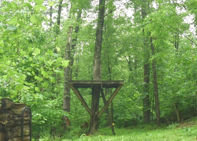 311 Chinook Ln, Sugar Grove, OH 43155 - view of woods