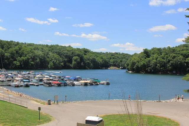 311 Chinook Ln, Sugar Grove, OH 43155 - water view featuring a forest