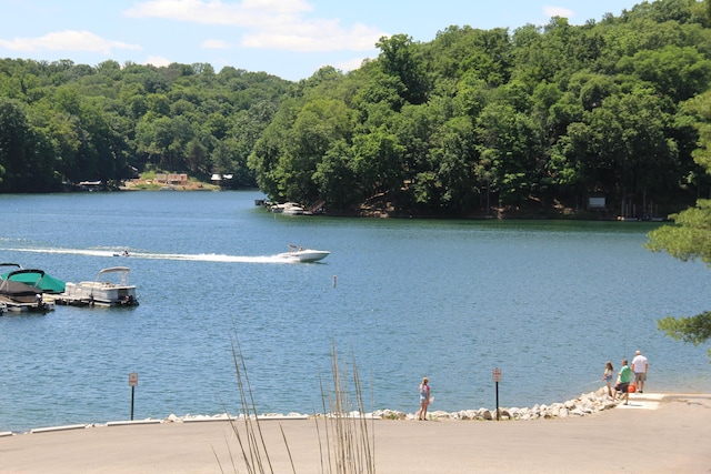 311 Chinook Ln, Sugar Grove, OH 43155 - water view with a boat dock