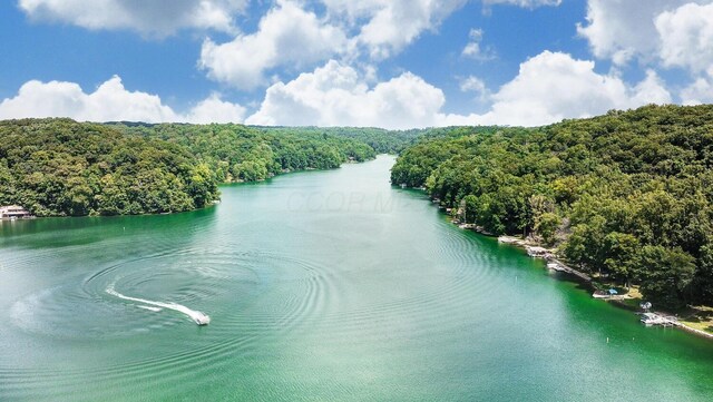 311 Chinook Ln, Sugar Grove, OH 43155 - water view with a heavily wooded area