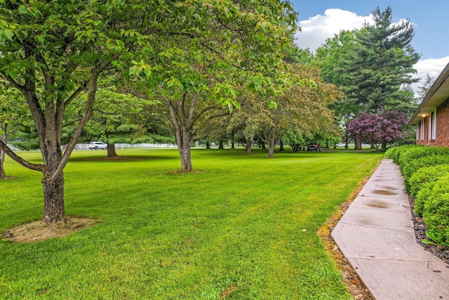 5786 Thompson Rd, Columbus, OH 43230 - view of grassy yard