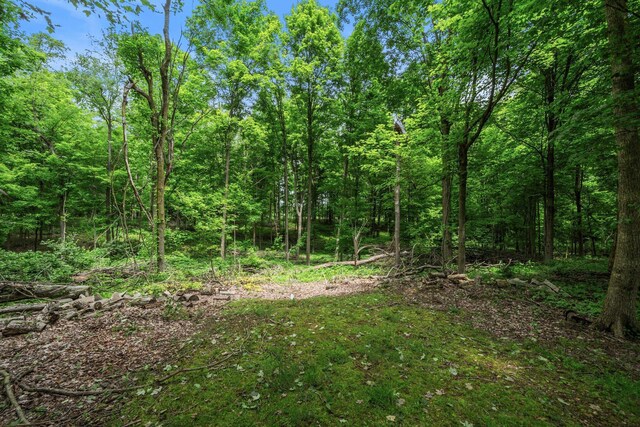 15121 Indian Hills Rd, Mount Vernon, OH 43050 - photo 78