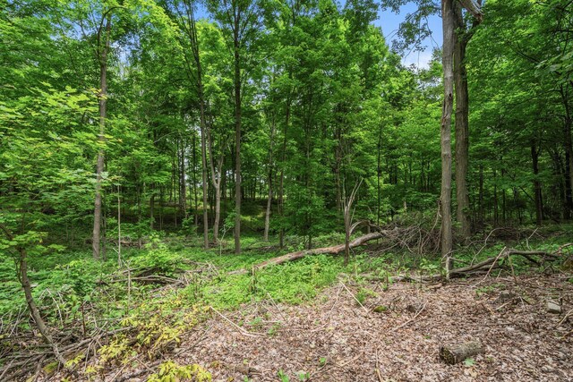 15121 Indian Hills Rd, Mount Vernon, OH 43050 - photo 79