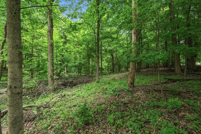 15121 Indian Hills Rd, Mount Vernon, OH 43050 - photo 80