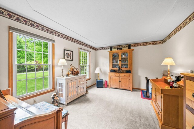 15121 Indian Hills Rd, Mount Vernon, OH 43050 - photo 13