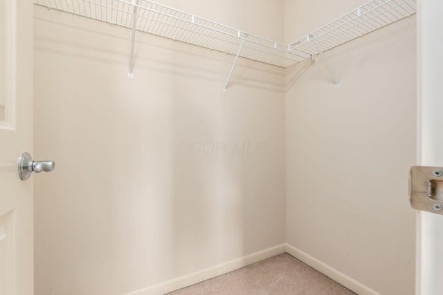 7019 Blakemore Ln, Dublin, OH 43016 - spacious closet featuring light colored carpet