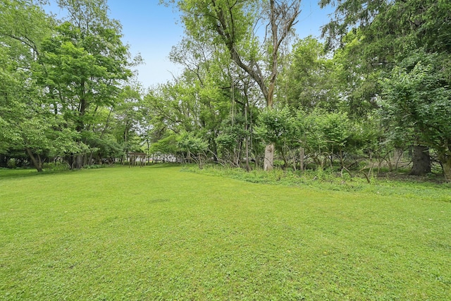 316 Westview Ave, Columbus, OH 43214 - view of grassy yard