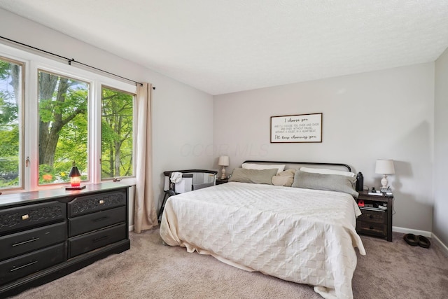710 Cloverleaf Ct, Mansfield, OH 44904 - bedroom with light carpet and baseboards