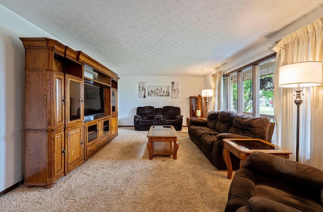 300 Stockbridge Rd, Columbus, OH 43207 - living area with light colored carpet, a textured ceiling, and baseboards
