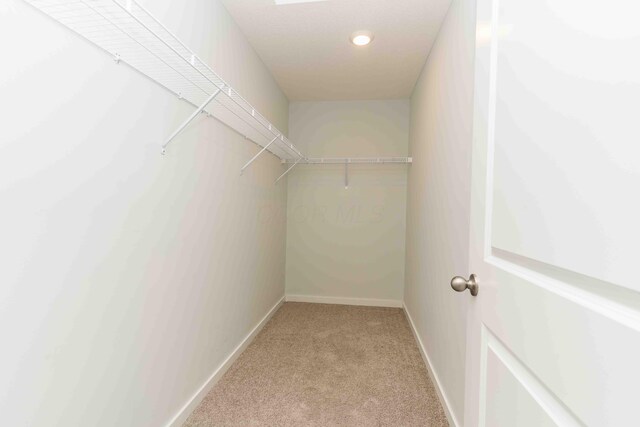 5914 Damsel Dr, Columbus, OH 43232 - walk in closet with light carpet