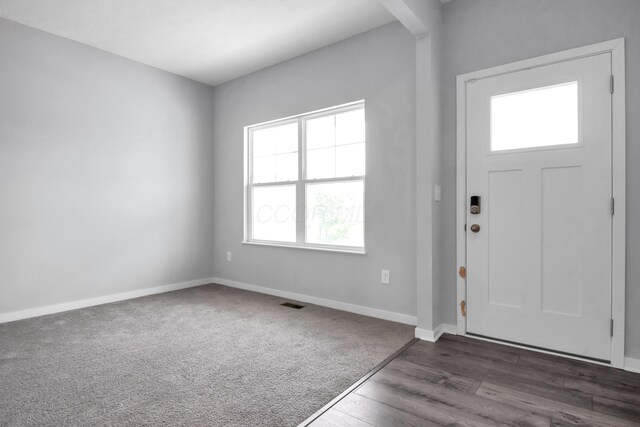 294 Shady Hollow Dr, Commercial Point, OH 43116 - entryway featuring baseboards, wood finished floors, and arched walkways