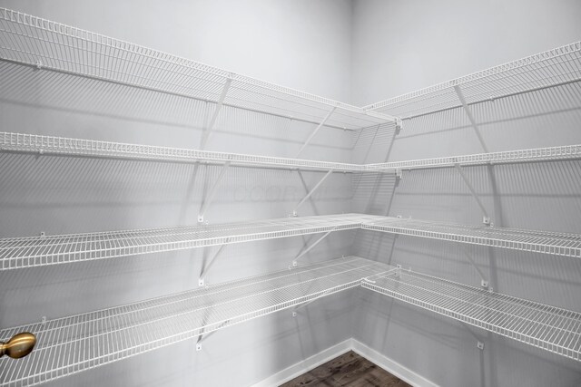 294 Shady Hollow Dr, Commercial Point, OH 43116 - view of pantry