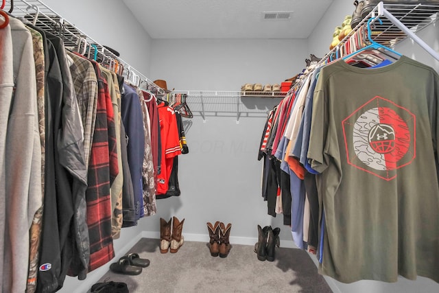294 Shady Hollow Dr, Commercial Point, OH 43116 - walk in closet featuring carpet