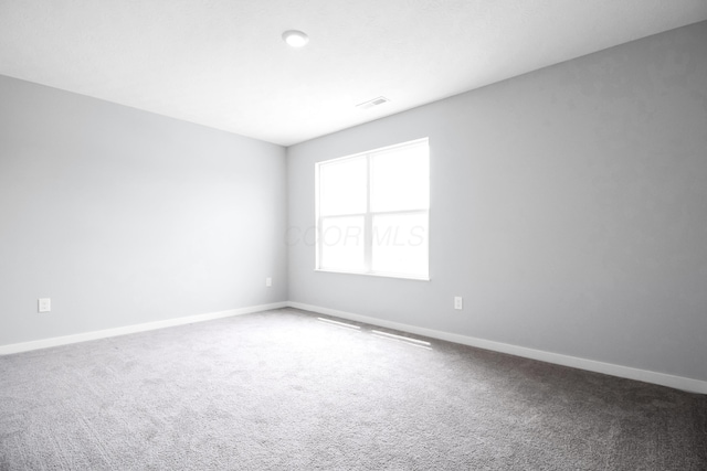 294 Shady Hollow Dr, Commercial Point, OH 43116 - unfurnished room with carpet flooring and baseboards