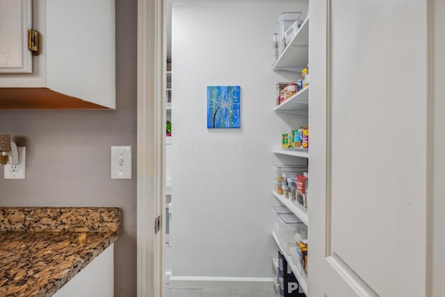 5718 Brook Hollow Dr, Hilliard, OH 43026 - view of pantry