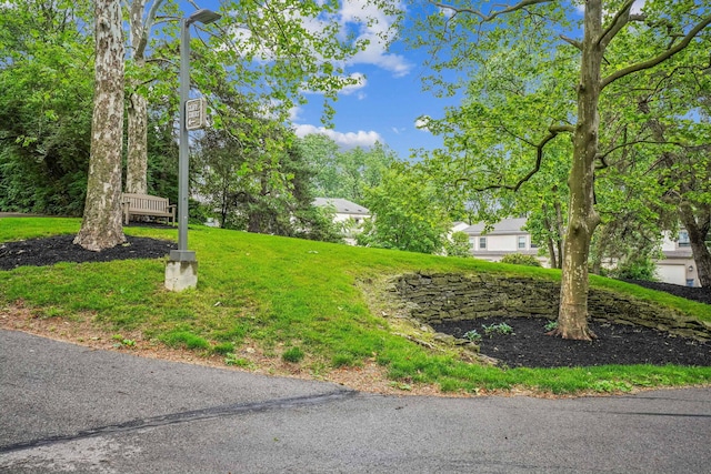 1450 Cliff Ct Unit 25, Columbus, OH 43204 - view of yard