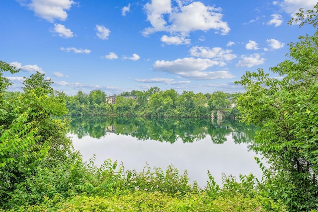 1450 Cliff Ct Unit 25, Columbus, OH 43204 - water view