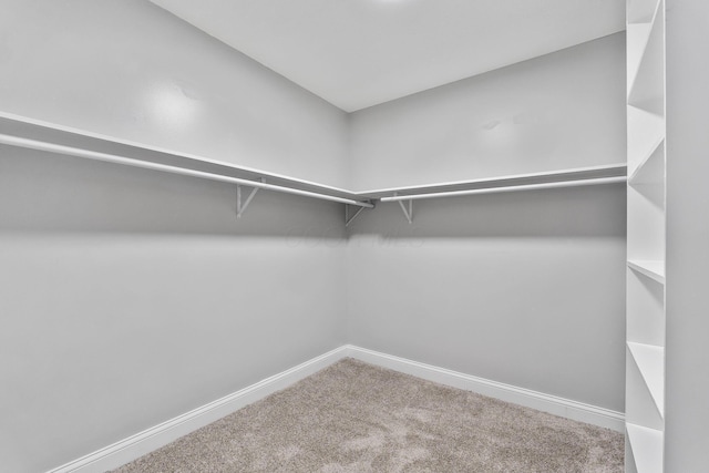 3998 Scioto Darby Creek Rd, Hilliard, OH 43026 - walk in closet with carpet
