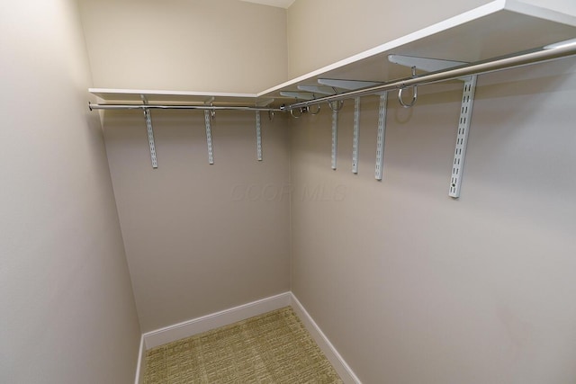 873 S Pearl St, Columbus, OH 43206 - view of walk in closet