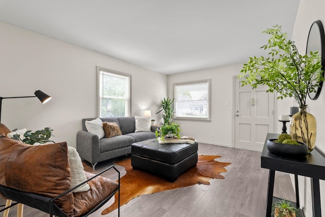 3091 Azelda St, Columbus, OH 43224 - living room with wood finished floors