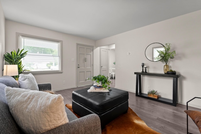3091 Azelda St, Columbus, OH 43224 - living room with wood finished floors and baseboards
