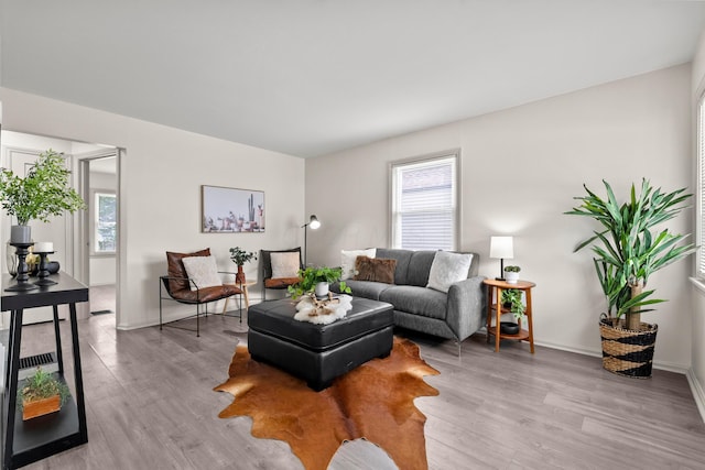 3091 Azelda St, Columbus, OH 43224 - living area featuring wood finished floors, healthy amount of natural light, and baseboards