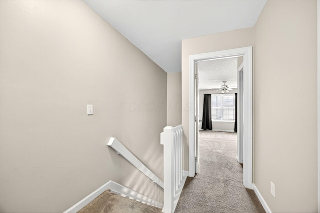5405 Coral Berry Dr Unit 67C, Columbus, OH 43235 - photo 24