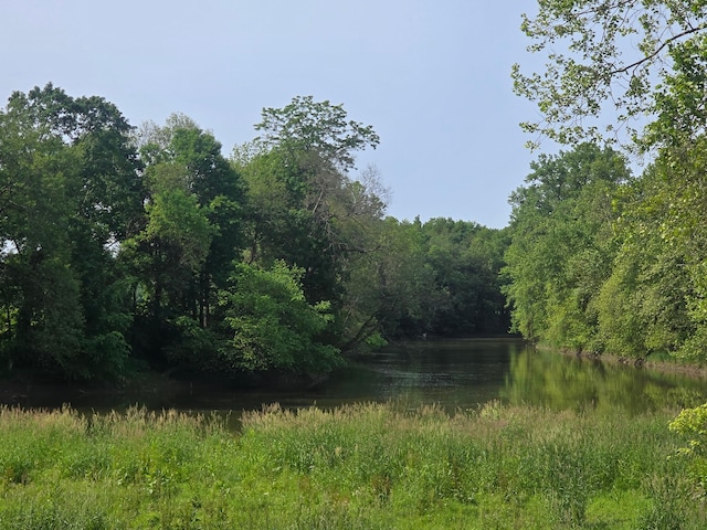 39889 US Highway 36, Warsaw, OH 43844 - view of woods featuring a water view