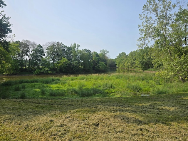 39889 US Highway 36, Warsaw, OH 43844 - view of local wilderness