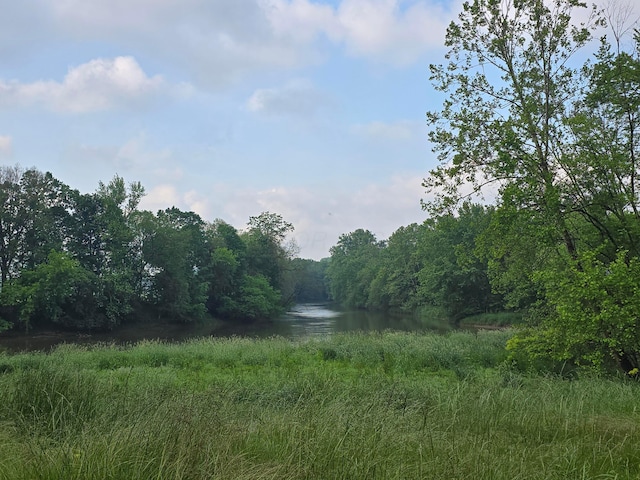 39889 US Highway 36, Warsaw, OH 43844 - view of woods with a water view