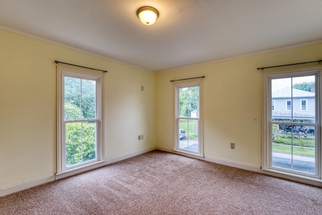 216 N St, Utica, OH 43080 - unfurnished room featuring ornamental molding, carpet, healthy amount of natural light, and baseboards