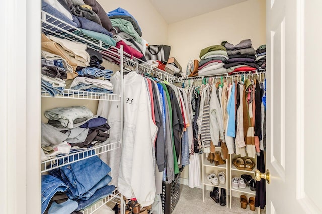 5673 Sugarwood Dr, New Albany, OH 43054 - spacious closet with carpet flooring